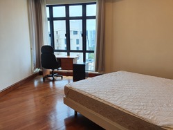Valley Park (D10), Condominium #232289851